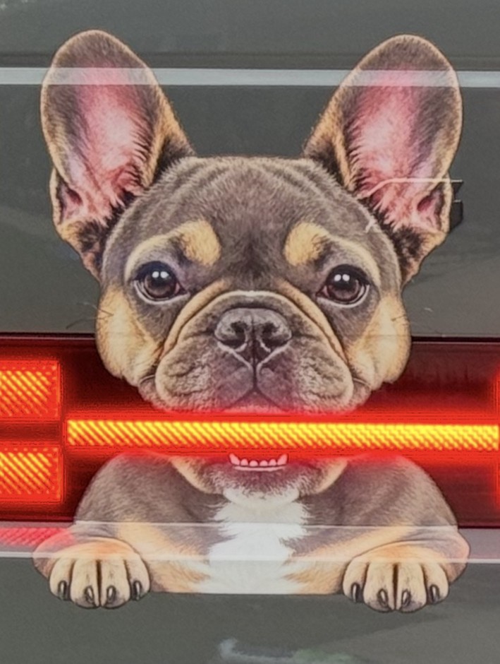 Close-up of the installed gray and tan Frenchie decal with the illuminated Santa Fe taillight forming a bone in its mouth