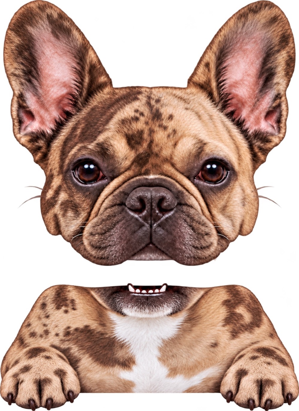 Brown and tan mottled French Bulldog two-piece decal artwork with front paws